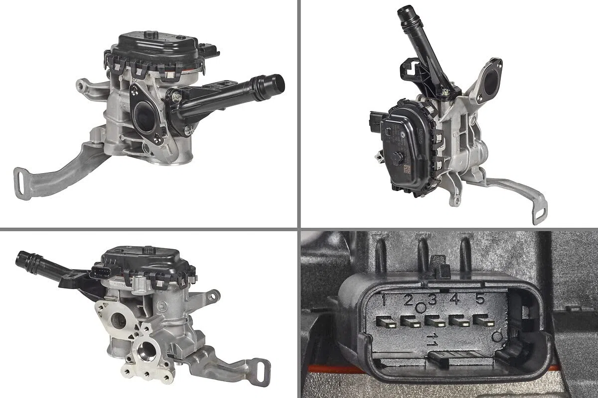 Valeo AGR-Ventil 700455