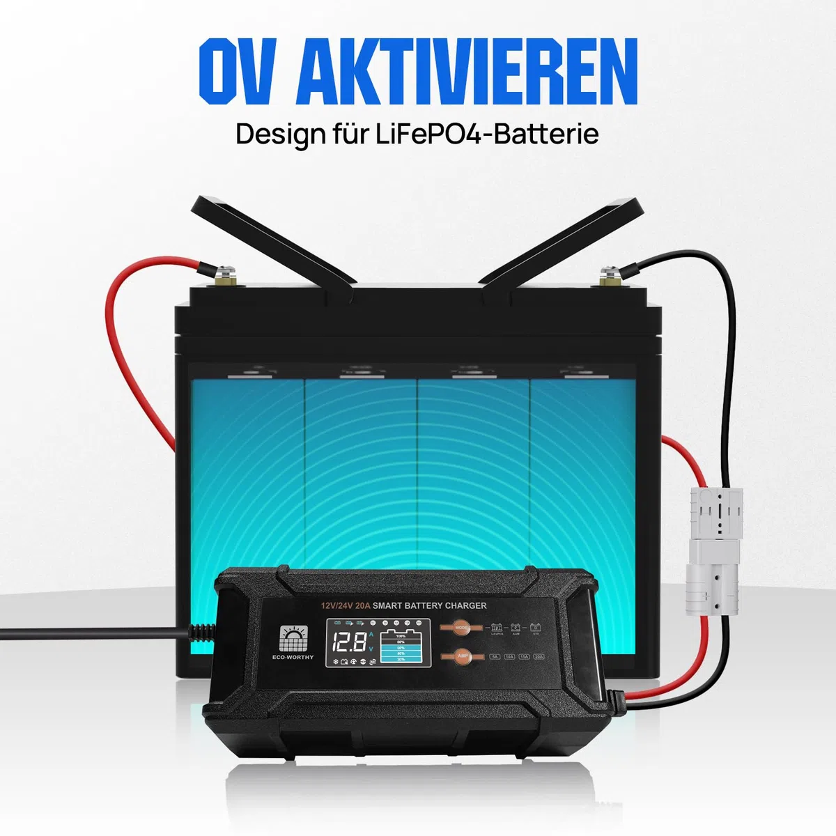 ECO-WORTHY 12V/24V 20A LiFePO4 Batterieladegerät mit Multi-Current Optionen 5A/10A/15A/20A,automatische LiFePO4 Blei-Säure Batterie Spannungserkennung für Auto LKW Motorrad Rasenmäher