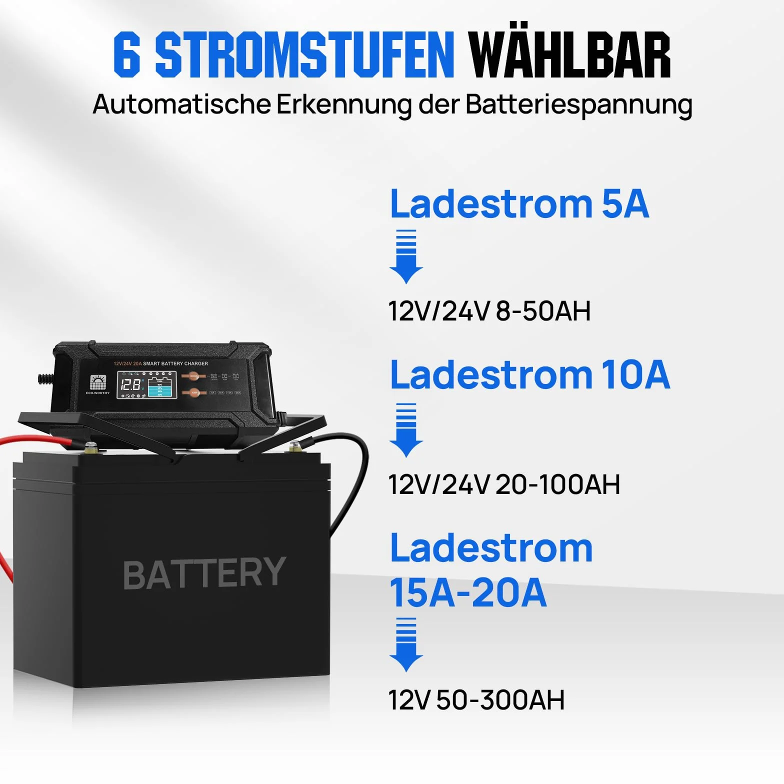 ECO-WORTHY 12V/24V 20A LiFePO4 Batterieladegerät mit Multi-Current Optionen 5A/10A/15A/20A,automatische LiFePO4 Blei-Säure Batterie Spannungserkennung für Auto LKW Motorrad Rasenmäher